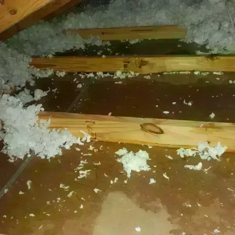 Attic Water Damage in Evart, MI