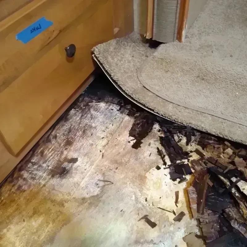 Wood Floor Water Damage in Evart, MI